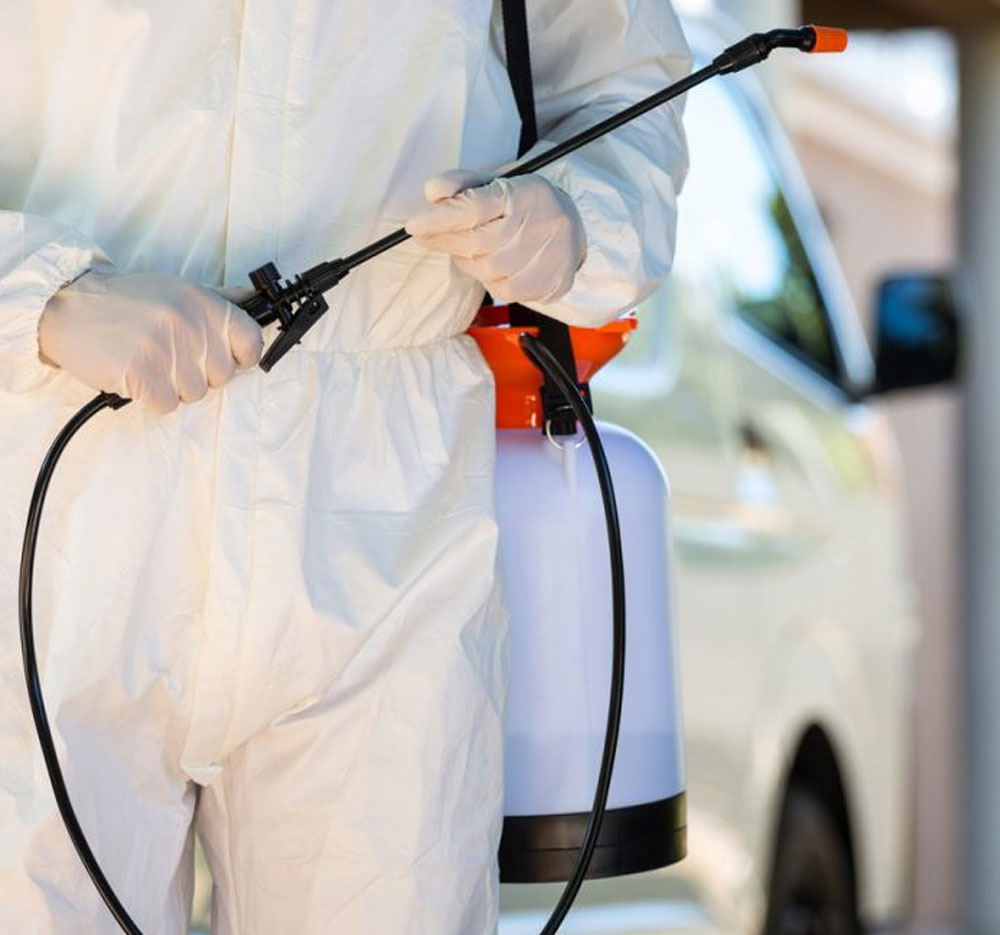 Pest control professional